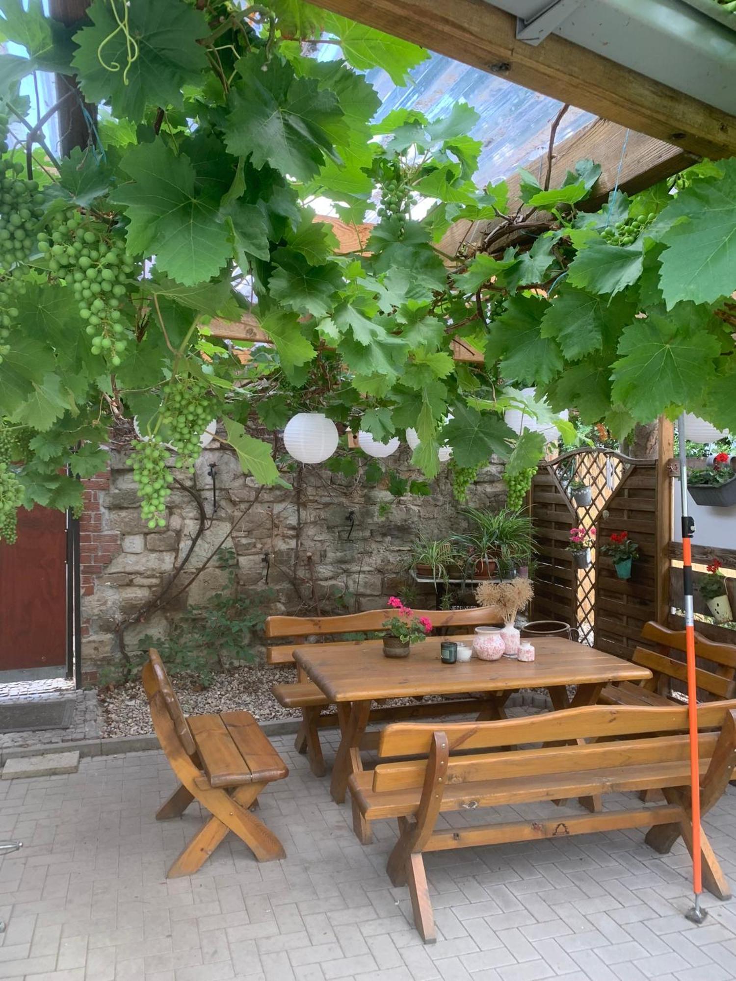 Pension Am Werder Bernburg Bagian luar foto